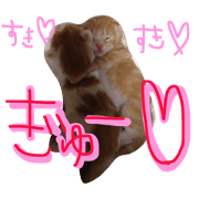nyan's family