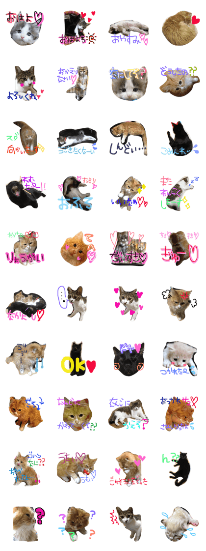 nyan's family