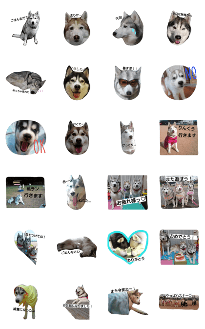 SB husky's