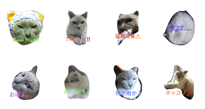 tonkinese cat stamp