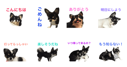 rikyu&himi part2