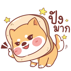 Shiba Naughty dog 6
