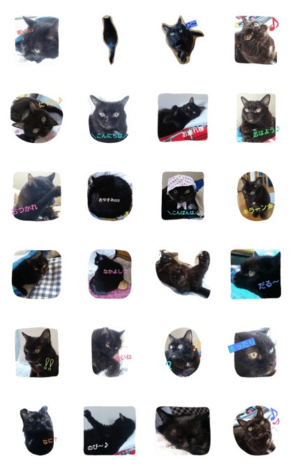 LOVE CAT STAMP