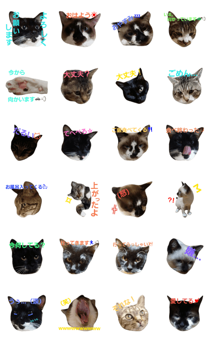 Nyanko stamp