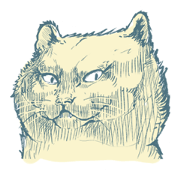 Aggressive Cats