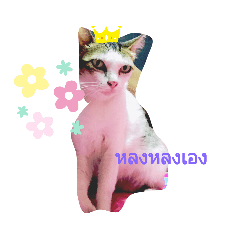 Gunggring_20210421190832