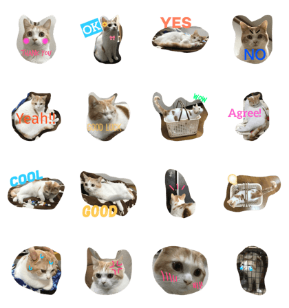 cool cat3