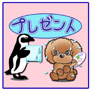 TOY POODLE TOY POODLE V4
