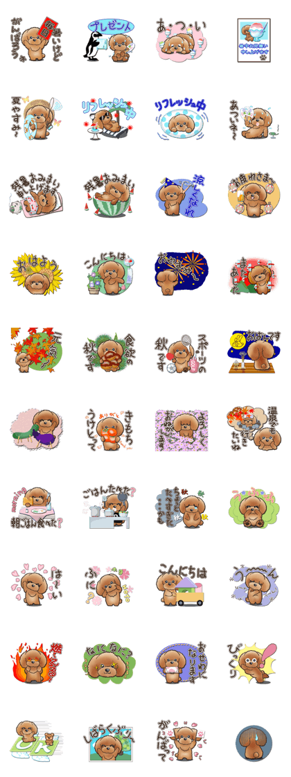 TOY POODLE TOY POODLE V4