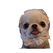 Mashufuron'S Sticker