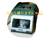 Pet Cats Stamp2