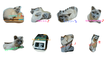 Pet Cats Stamp2