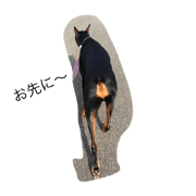 Doberman stamp!