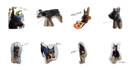 Doberman stamp!