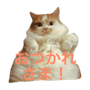 CAT STAMP(MYU)