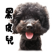 QHappy