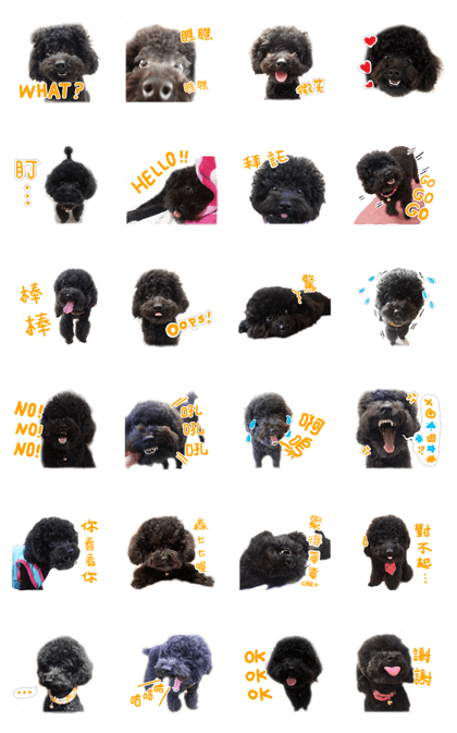 QHappy