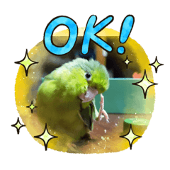 sayuri_20210422173340