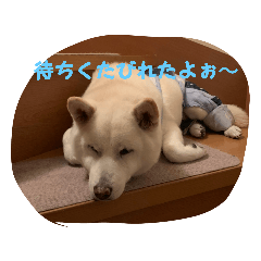 mimi_20210422174810