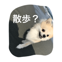chi_20210422174154