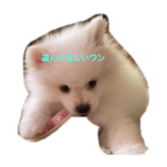 yuka_20210422174513