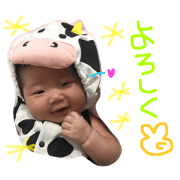 nikochan  everyday 2
