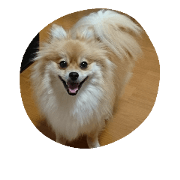 kuryu
