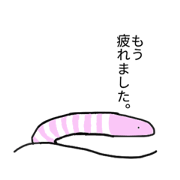 Japanese spaniel sea eel