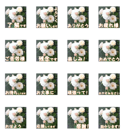 Greetings message of the rose_CC_J