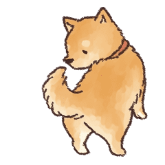 Animation only icon Shiba inu daily animation sticker