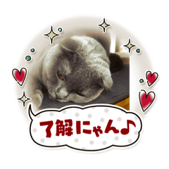 makisim_20210422202200