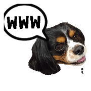 Dog Refre OGGi 5