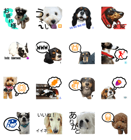 Dog Refre OGGi 5