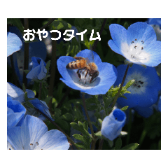 hana_20210422222523