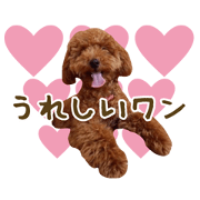 every day moca