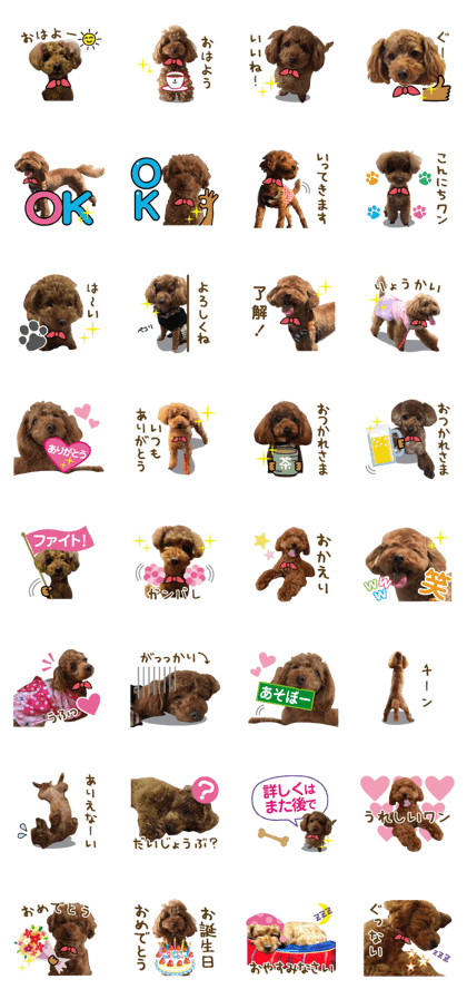 every day moca