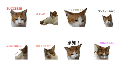 cat riku stamp2.