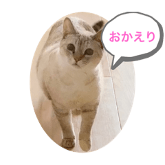 aoi_20210422235342
