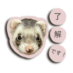 melon__coton sticker