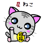 Hoshi cat