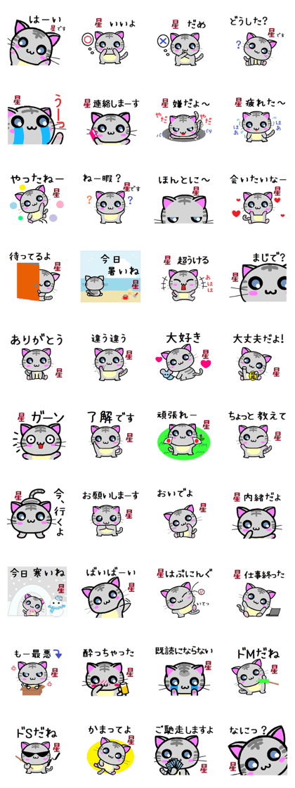 Hoshi cat
