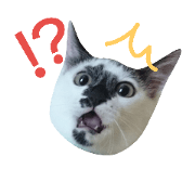 Messyu.Cat's.