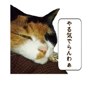 kasumichan.