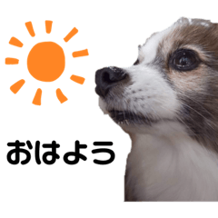 mizuki_20210422182138