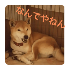 Yuto_20210422183844