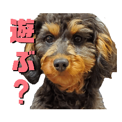 ayumi_20210422194936