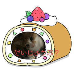 mimisuke.haru