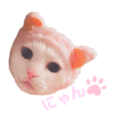 chihiro_20210422184940