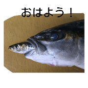 fish2