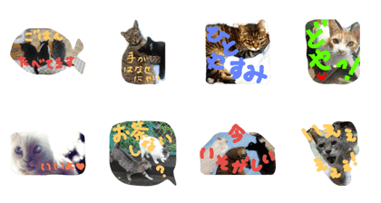 NYAN MEOW 2